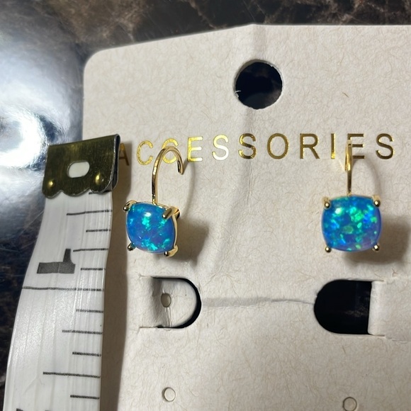 Blue Minimalist Earrings - Picture 8 of 9